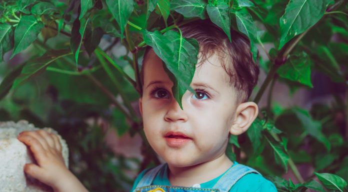 Vara lui mana-gura-picior. Cum se manifesta boala si ce sanse sunt sa capeti imunitate