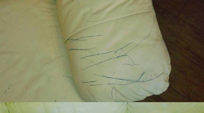 Bebelusii, un adevarat “pericol” pentru lucrurile din casa :)