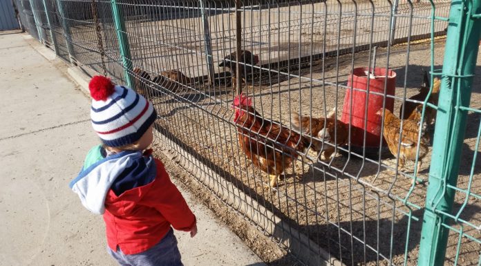 Bebelusii si universul lor la un an jumate. Ce il fascineaza pe bebe Edy