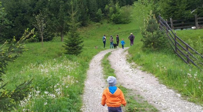 Copilul meu nu accepta sa poarte decat o singura pereche de incaltari. Ai vostri ce ciudatenii au? :)